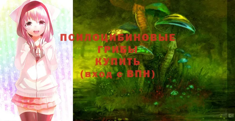 Галлюциногенные грибы MAGIC MUSHROOMS  Бородино 